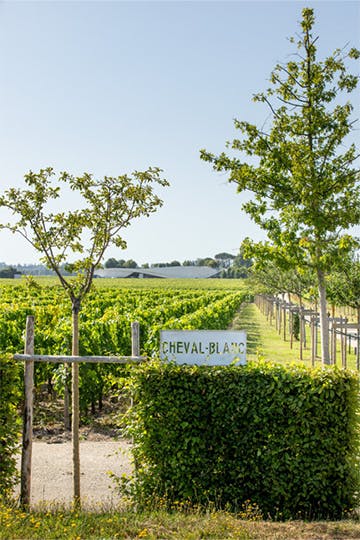 Découvrez chez U'wine les prestigieuses bouteilles de Cheval Blanc, ex-propriété des Hébrard, un héritage d'exception à savourer !